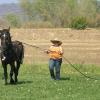 Sage being ground driven.