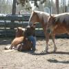 Sitting on Hannah as she rests in a pen with two other 2 year olds.