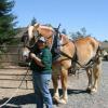 Brutus - The greatest horse EVER helping me give a harnessing demonstration.