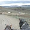 Moose & Abel starting a downhill on the wagon train.