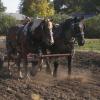 Luke & Abel - Driving a forecart while pulling a harrow.